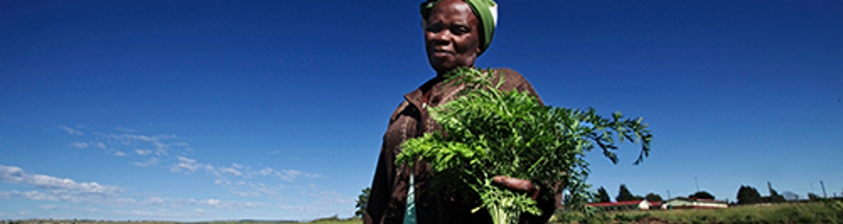 Agriculture
